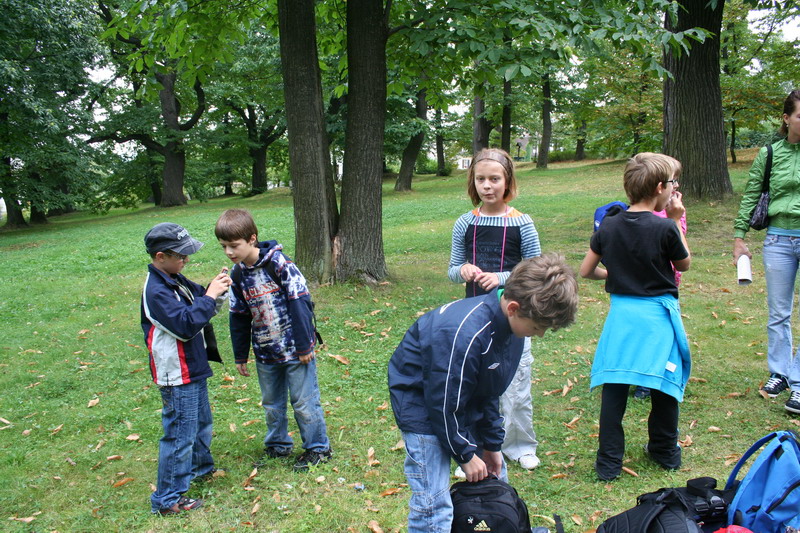 V parku