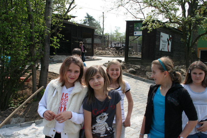 IMG_5019_resize